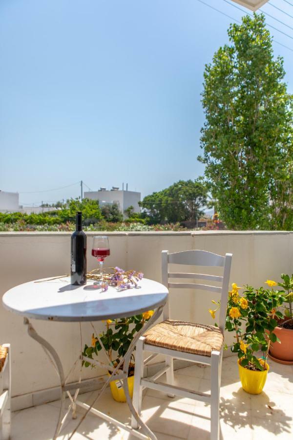 Apanemi Beachhouse Naxos City Экстерьер фото